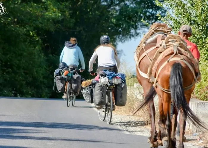Darli Dibra * Peshkopi