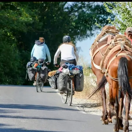 Darli Dibra * Peshkopia